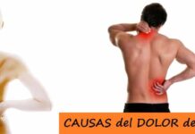 CAUSAS del DOLOR de ESPALDA y Métodos de Prevención Causas del Dolor de Espalda