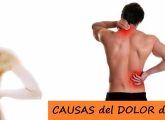 CAUSAS del DOLOR de ESPALDA y Métodos de Prevención Causas del Dolor de Espalda