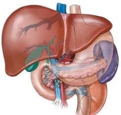 Hepatitis