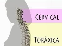 Biomecánica básica de la Columna Vertebral