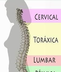 Biomecánica básica de la Columna Vertebral