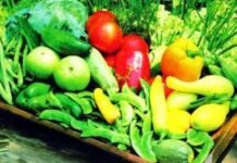 Crear una cultura de consumo de vegetales en el hogar