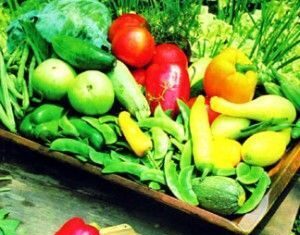 Crear una cultura de consumo de vegetales en el hogar