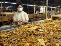 El tabaco y su industria