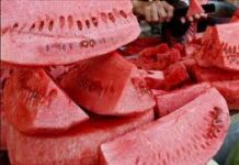 Descubren las proteínas que causan la alergia a la sandía