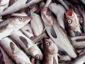 Casos de alergia al Anisakis