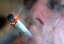 Fumar marihuana no es perjudicial
