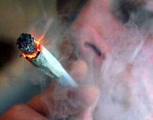 Fumar marihuana no es perjudicial