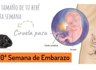 10ª Semana de EMBARAZO ¡El BEBÉ comienza a MOVERSE! Decima Semana de Embarazo