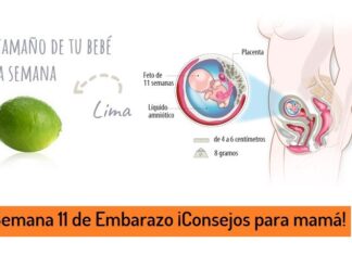 Semana 11 de EMBARAZO ¡El FETO ya DA PATADAS! semana 11 de embarazo