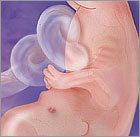 feto semana 11 de embarazo