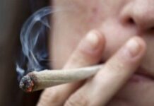 Los jóvenes españoles, los que más cannabis consumen en europa.