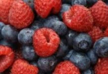 Las frutas del bosque ayudan a la memoria