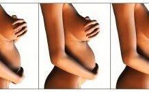 Etapas del Embarazo Semana a Semana