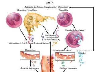 La gota