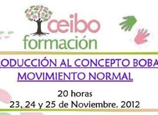 Curso de «Introducción al concepto Bobath» en Málaga. 23-25 Noviembre 2012