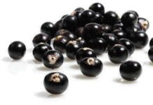 El milagro de la baya Acai para la salud