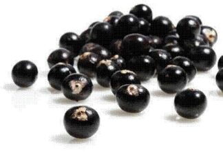 El milagro de la baya Acai para la salud
