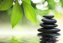 Las mejores Terapias Naturales