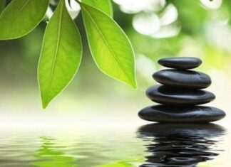 Las mejores Terapias Naturales