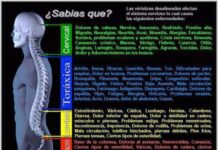 Las Vertebras Desalineadas y posibles enfermedades