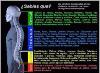 Las Vertebras Desalineadas y posibles enfermedades