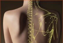 Qué es la kinesioterapia y para que se utiliza