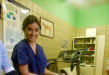 Fisioterapia en Mascotas