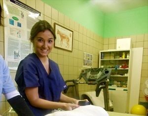 Fisioterapia en Mascotas