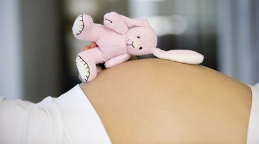 movimiento-controversial-propone-criar-a