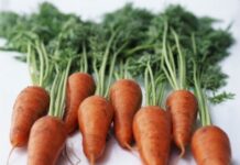 El Beta-Caroteno puede Disminuir la predisposición Genética a la Diabetes