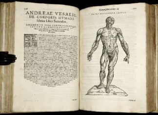 Sinopsis de anatomía humana