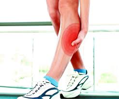 curso fisioterapia online recuperacion lesiones musculo esqueleticas