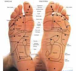 hablemos de la Reflexologia