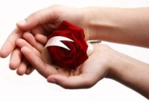 Fisioterapia contra la Depresión Fisioterapia contra la Depresión