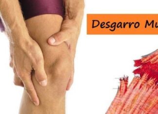 DESGARRO MUSCULAR ¡Guía Completa! Qué es, Cómo Prevenirlo, Síntomas y Tratamiento de los Desgarros Desgarro Muscular