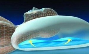 almohada- ergonomica