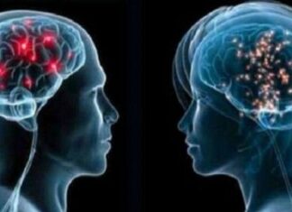 Cómo la Fisioterapia Ayuda en la Recuperación Emocional y Mental 🧠💪