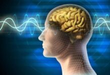 La ingesta en exceso de azúcar refinado y su efecto en el cerebro y fisioterapia