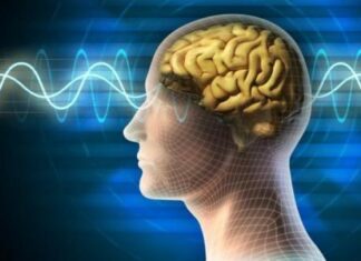 La ingesta en exceso de azúcar refinado y su efecto en el cerebro y fisioterapia