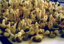 Las isoflavonas de la soya y sus beneficios