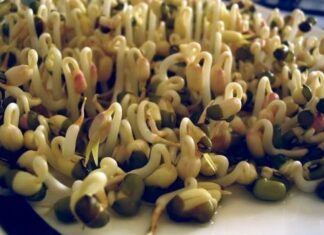Las isoflavonas de la soya y sus beneficios