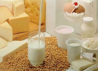 Leche y lactosa
