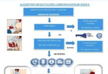 3 Pasos para un RCP Básico ¡Aprenderlo es Fundamental! recuperacion cardio pulmonar