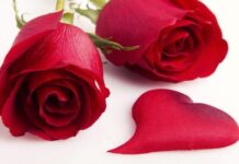 Regala Salud en San Valentín Regala Salud en San Valentín