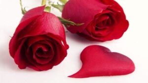 Regala Salud en San Valentín