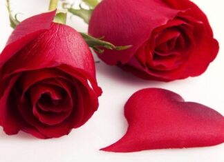 Regala Salud en San Valentín Regala Salud en San Valentín
