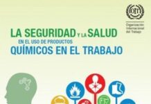 Día Mundial de la Seguridad y la Salud en el Trabajo Día Mundial de la Seguridad y la Salud en el Trabajo