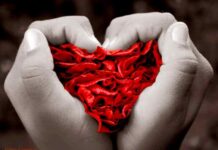 Secuelas Físicas del Mal de Amores Secuelas Físicas del Mal de Amores