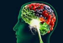 Ejercicios para estimular la memoria Ejercicios para estimular la memoria